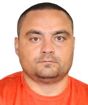 Mares-Sorin Mares Sorin