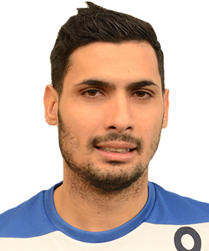Gerota Alin