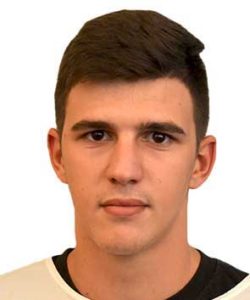 Despa Daniel Stelian
